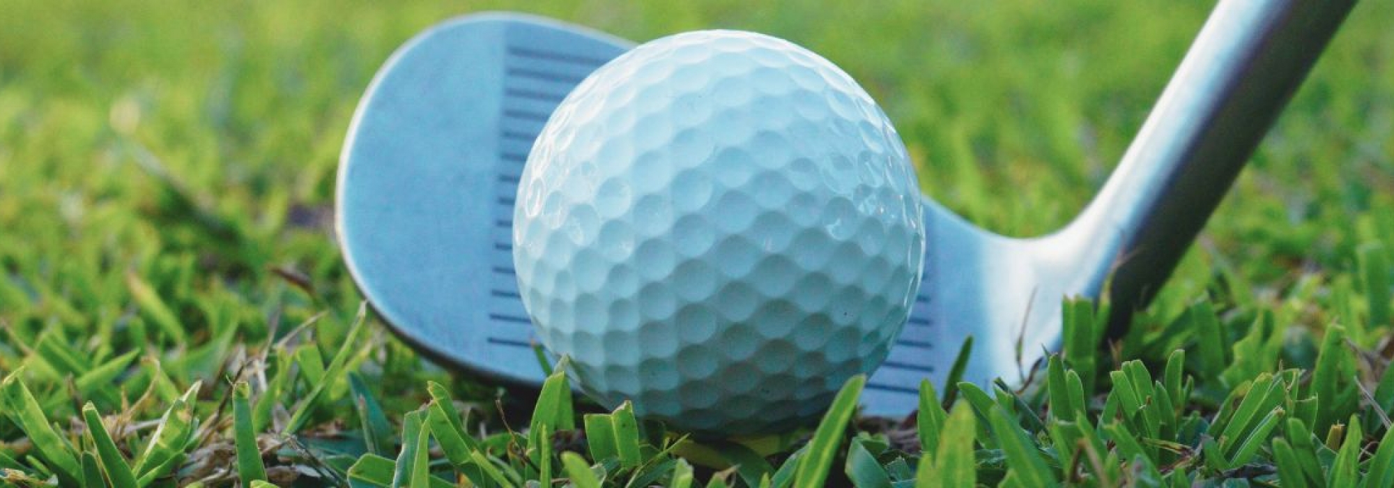Tee up