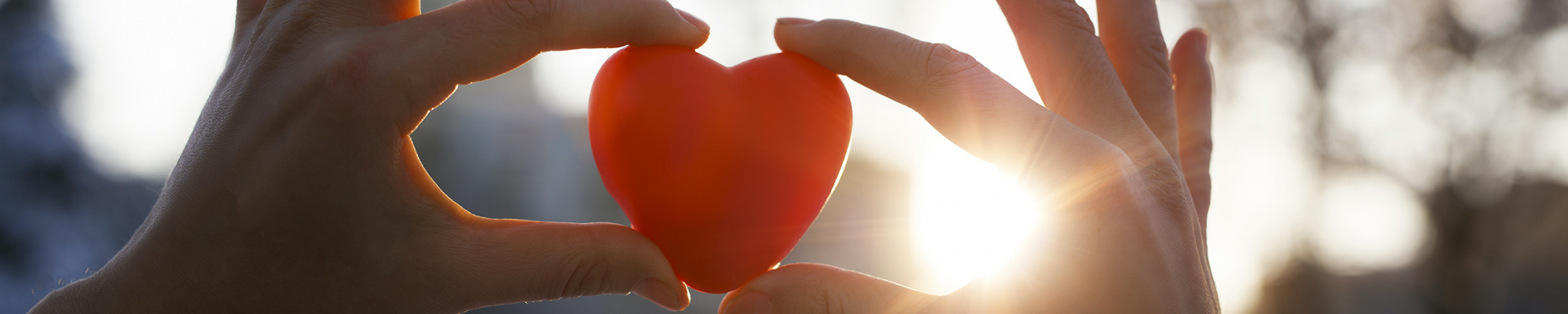 Our Impact - image of hands holding a toy heart to the sun