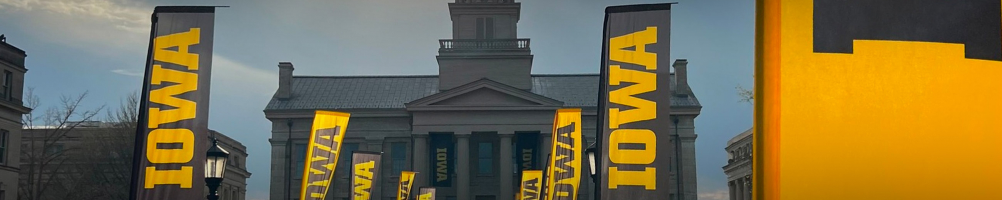 University of Iowa Campaign