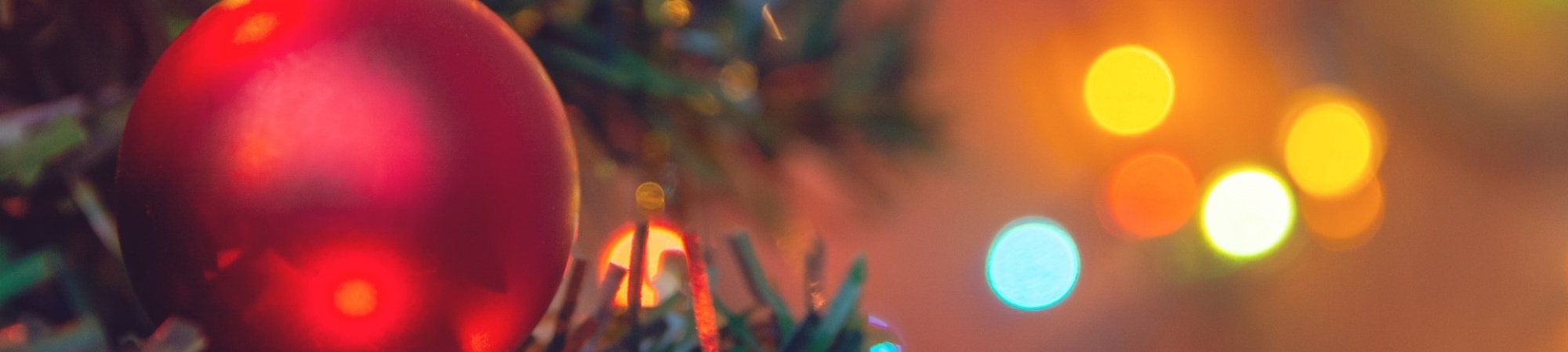 Holiday Ornament on a tree
